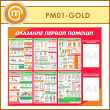 ����� ��������� ������ ������ � ������� � �������� ��������� (PM-01-GOLD)